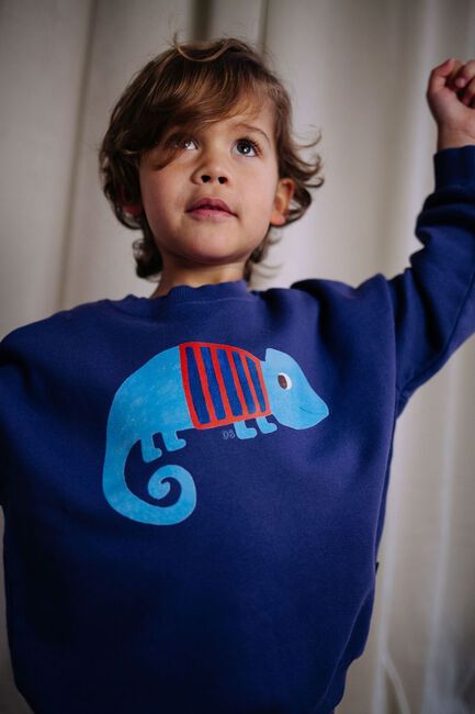 Lilane DAILY BRAT Pullover SIR BLEND-A-LOT SWEATER - large