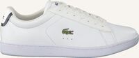 Weiße LACOSTE Sneaker Low CARNABY EVO DAMES - medium