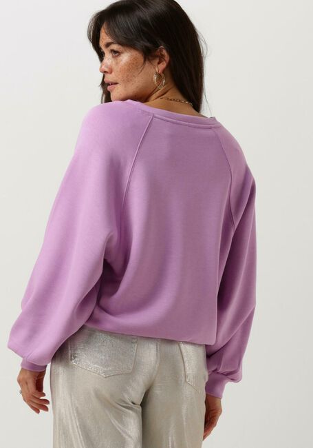 Lilane MSCH COPENHAGEN Pullover MSCHNELINA IMA Q RAGLAN SWEATSHIRT - large