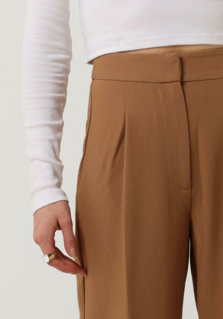 Braune ENVII Hose ENAURELIE PANTS 6797 - large