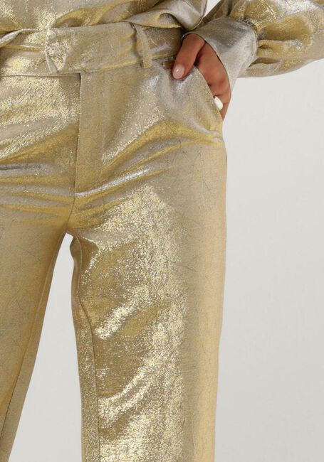 Goldfarbene POM AMSTERDAM Hose STARDUST GOLD PANTS - large