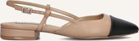 Braune STEVE MADDEN Slingbacks BELINDA Braune STEVE MADDEN Slingbacks BELINDA - medium