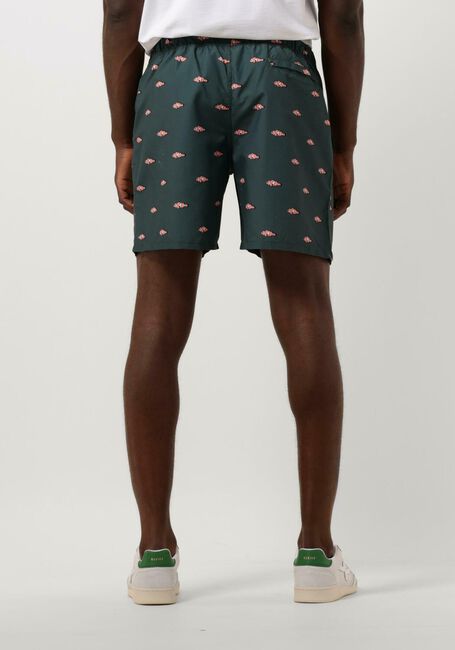 Gr&uuml;ne SHIWI Badehosen MEN SWIMSHORT CLOWNFISH - large