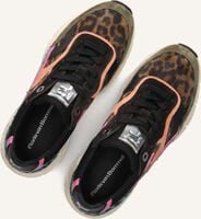 Mehrfarbige/Bunte FLORIS VAN BOMMEL Sneaker Low SFW-10133 DAYSI Mehrfarbige/Bunte FLORIS VAN BOMMEL Sneaker Low SFW-10133 DAYSI - medium