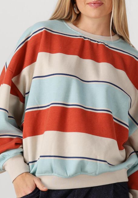 Mehrfarbige/Bunte STUDIO AMAYA Sweatshirt DAISEY - large