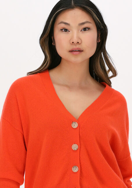 Orangene NOT SHY Strickjacke JUANA - large
