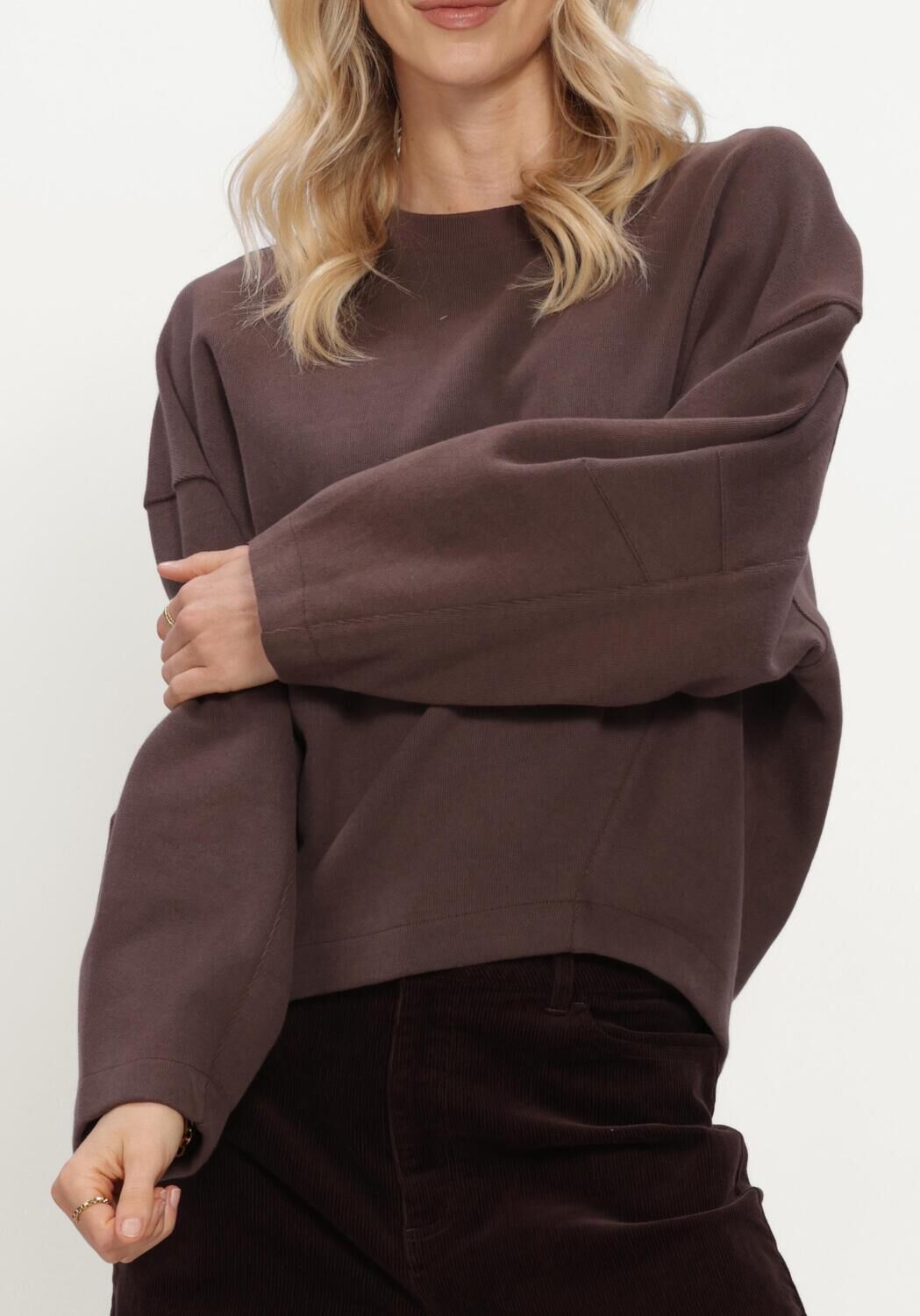 Braune MSCH COPENHAGEN Sweatshirt MSCHMARLETTA SWEATSHIRT - large