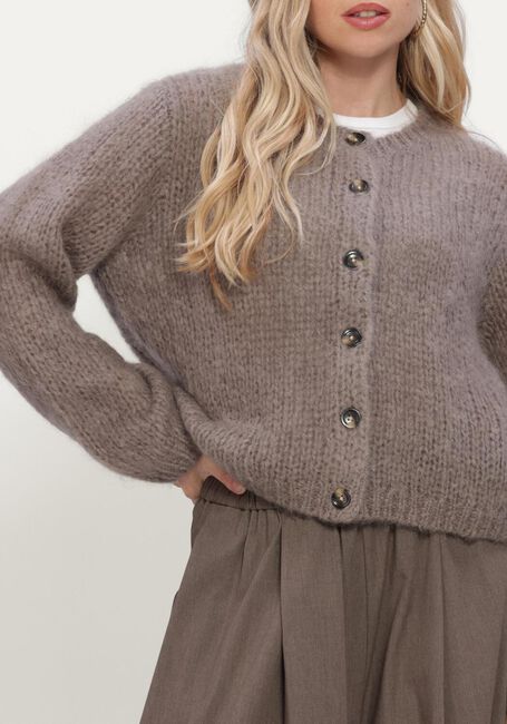 Taupe INWEAR Pullover JETRAIW CARDIGAN - large