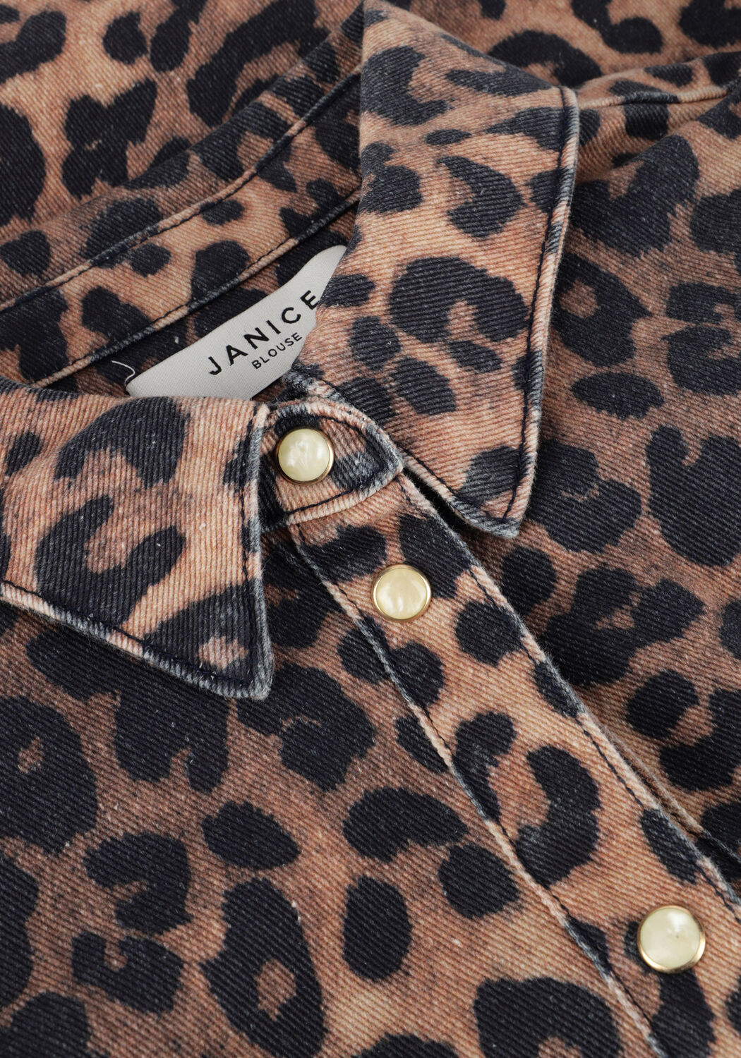 Braune JANICE Blusen LARS - large