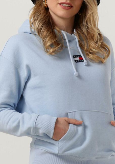 Hellblau TOMMY JEANS Sweatshirt TJW TOMMY CENTER BADGE HOODIE - large