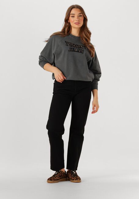 Dunkelgrau TOMMY JEANS Pullover TJW BXY LEOPARD VARSITY CREW - large