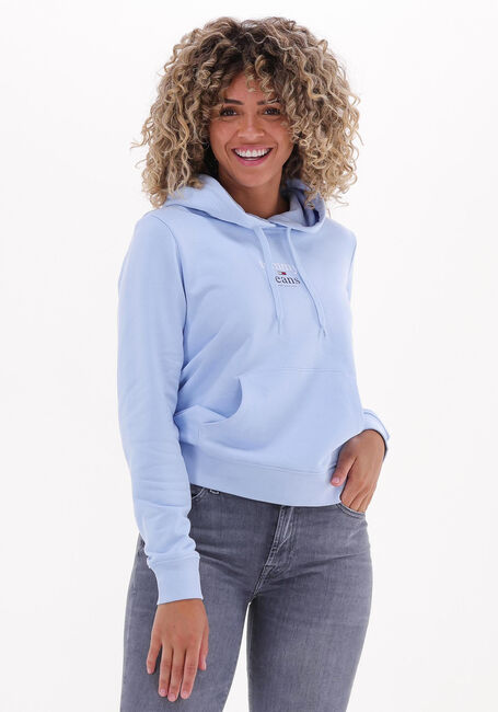 Hellblau TOMMY JEANS Sweatshirt TJW REG ESSENTIAL LOGO 2 HOODIE - large
