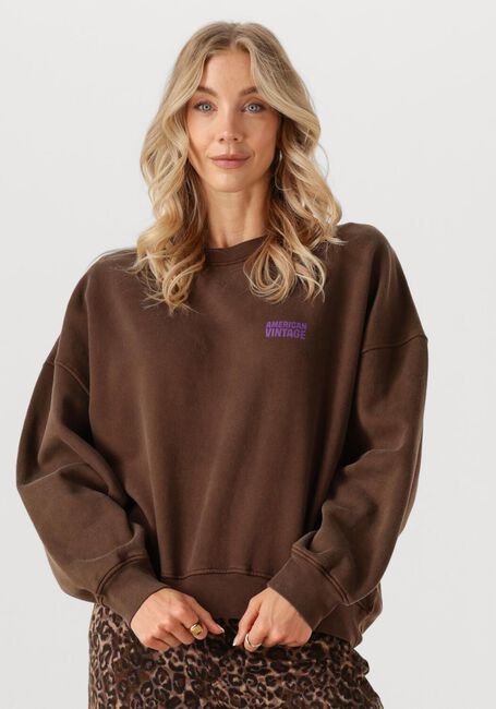 Braune AMERICAN VINTAGE Pullover PLIZZY - large
