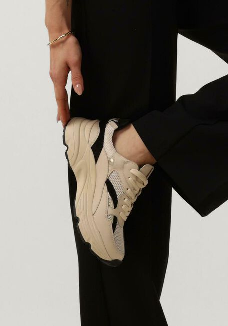 Beige HABOOB Sneaker Low LPTOKIO - large