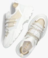 Weiße TANGO Sneaker low ALICIA 2 - medium