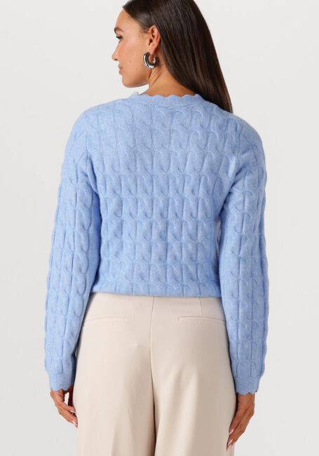 Hellblau Y.A.S. Pullover YASBUBERA LS KNIT CARDIGAN - large