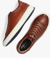 Cognacfarbene VAN BOMMEL Sneaker low 13380 - medium