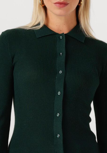 Dunkelgrün MODSTRÖM Pullover HIROKIMD CARDIGAN - large
