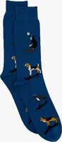 Blaue ALFREDO GONZALES Socken DOGS - medium