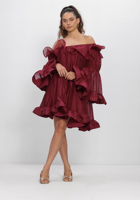 Bordeaux Y.A.S. Minikleid YASFALLULAH O/S DRESS - D2D - large