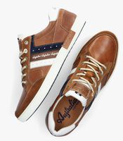 Braune AUSTRALIAN Sneaker low NOTTINGHAM - medium