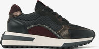 Mehrfarbige/Bunte VIA VAI Sneaker Low POSY DASH - medium