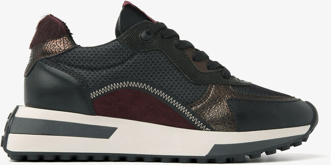 Mehrfarbige/Bunte VIA VAI Sneaker Low POSY DASH - large