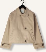 Beige NEO NOIR Trenchcoats AMBIKA JACKET Beige NEO NOIR Trenchcoats AMBIKA JACKET - medium