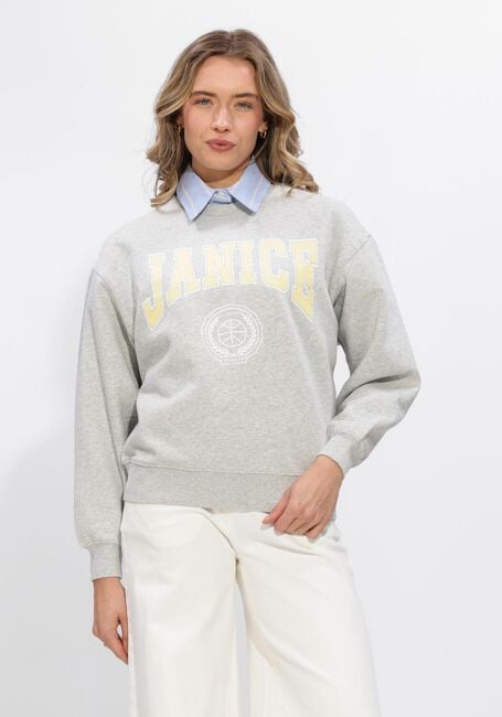 Graue JANICE Pullover & Cardigans OWEN - large