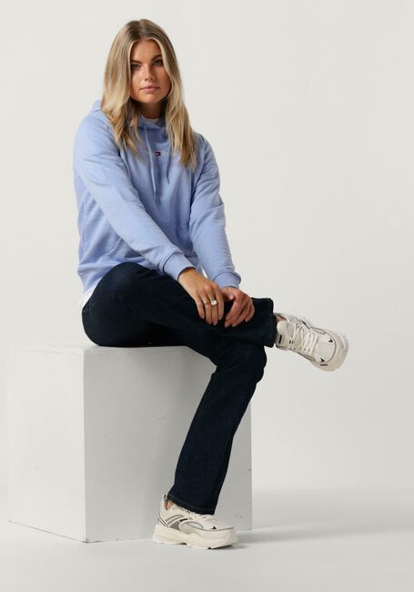 Hellblau TOMMY JEANS Sweatshirt REG SERIF LINEAR HOODIE - large