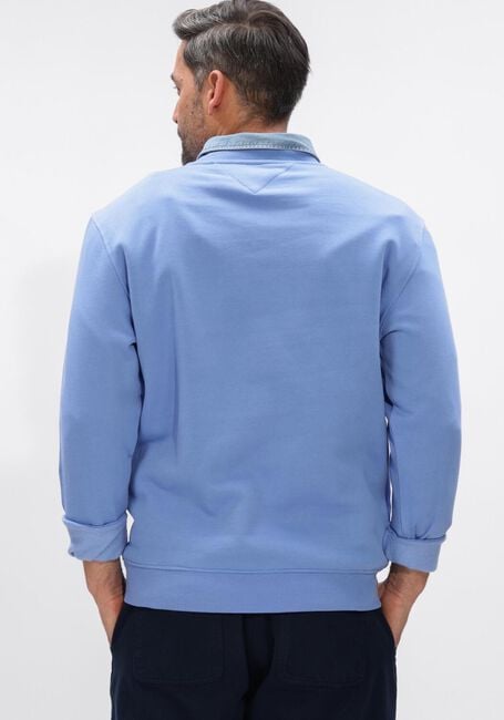 Hellblau TOMMY JEANS Sweatshirt TJM REG BADGE HOODIE EXT - large