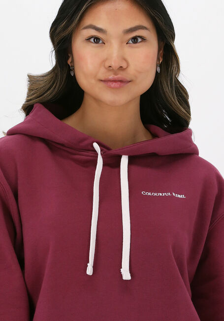 Bordeaux COLOURFUL REBEL Sweatshirt UNI OVERSIZED HOODY - large
