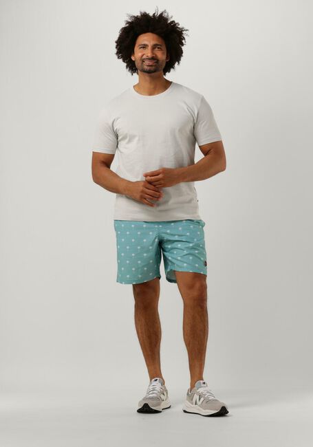 Hellblau SHIWI Badehosen MEN SWIMSHORT SCRATCHED SHIWI PALM - large