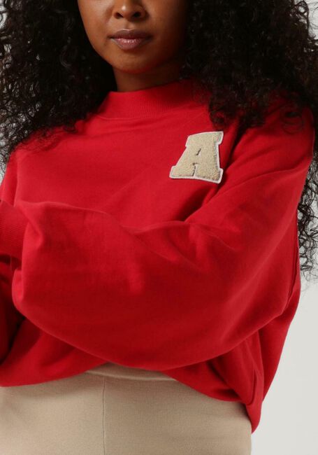 Rote ANOTHER LABEL Pullover A- SWEATER L/S - large