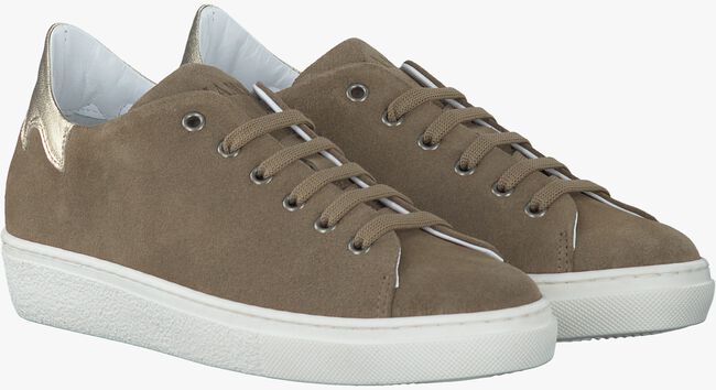 Taupe FIAMME Sneaker 1402 - large