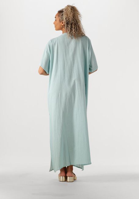 Hellblau WILD Maxikleid ANNIE - large