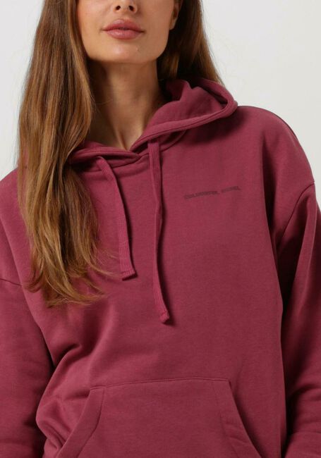 Bordeaux COLOURFUL REBEL Pullover DESERT NOMAD EMBRO OVERSIZED HOODIE - large