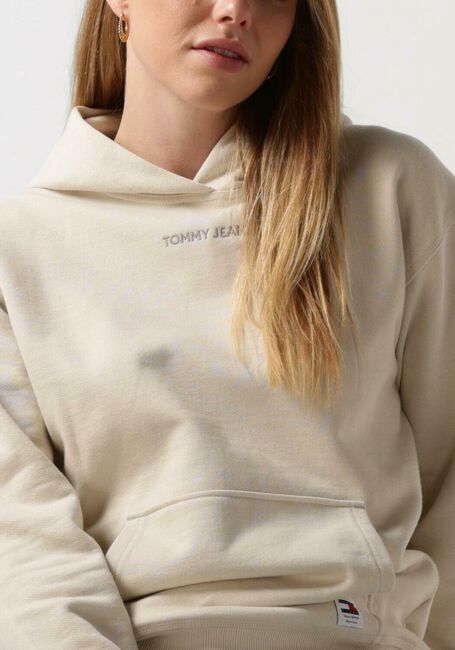 Beige TOMMY JEANS Pullover TJW RLX SMALL CLASSIC HOODIE EXT - large