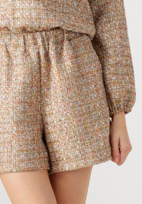 Mehrfarbige/Bunte AMAYA AMSTERDAM Kurze Hose MITSY - large