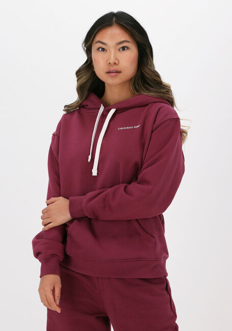 Bordeaux COLOURFUL REBEL Sweatshirt UNI OVERSIZED HOODY - large