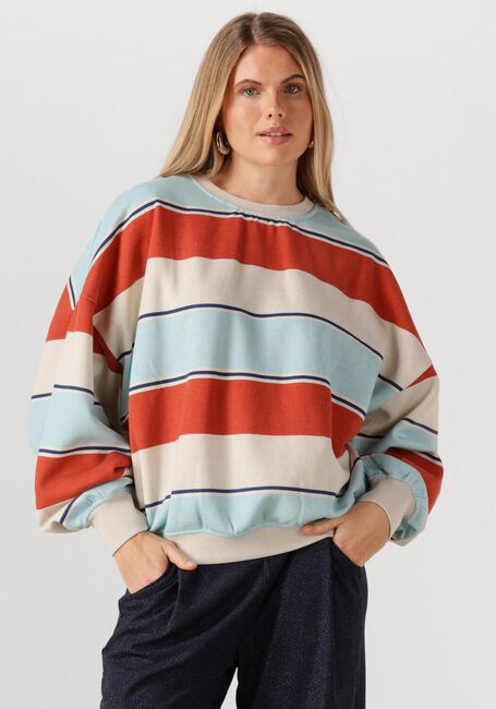 Mehrfarbige/Bunte STUDIO AMAYA Sweatshirt DAISEY - large