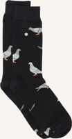 Schwarze ALFREDO GONZALES Socken PIGEONS Schwarze ALFREDO GONZALES Socken PIGEONS - medium