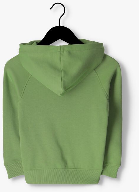 Grüne RAIZZED Pullover WILLISTON - large