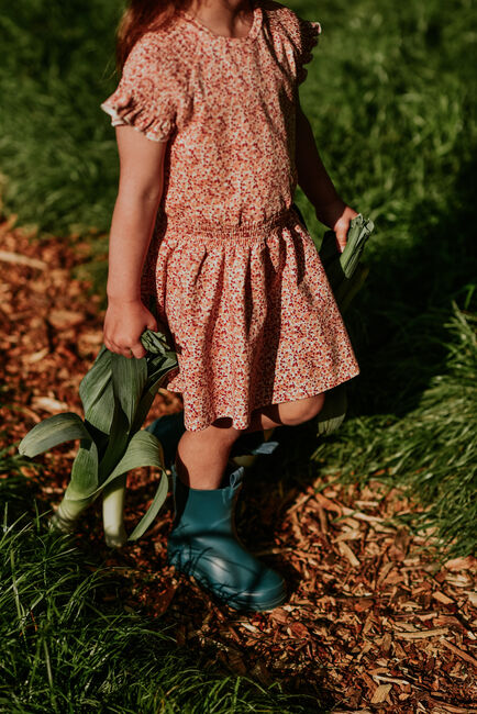 Orangene KOKO NOKO Minikleid N58933 - large