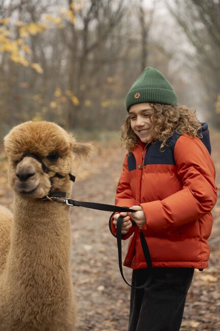 Orangene AMMEHOELA Wattierte Jack XAVI - large