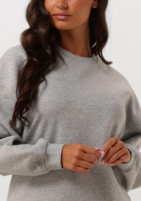 Hellgrau SELECTED FEMME Sweatshirt SLFGIA YRSA LS CREW NECK SWEAT - large