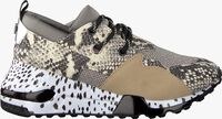 Beige STEVE MADDEN Sneaker low CLIFF SNEAKER - medium