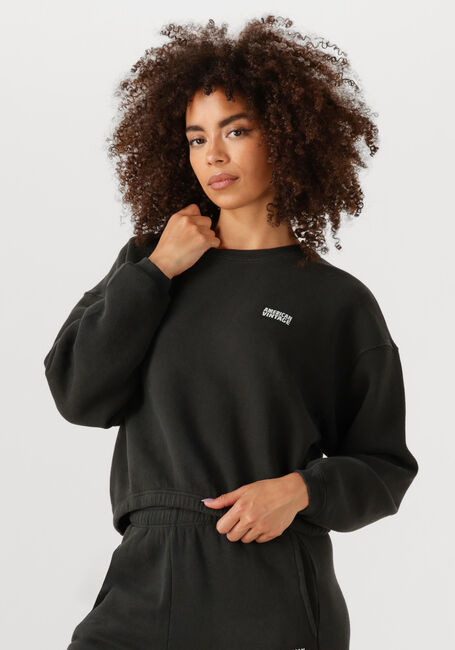 Dunkelgrau AMERICAN VINTAGE Sweatshirt IZUBIRD D - large