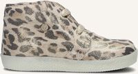 Beige FALCOTTO Sneaker CONTE Beige FALCOTTO Sneaker CONTE - medium