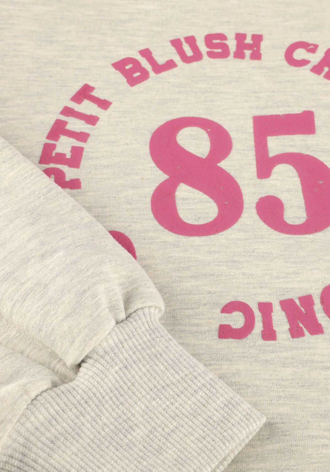 Hellgrau PETIT BLUSH Sweatshirt HOODED SWEATER - large